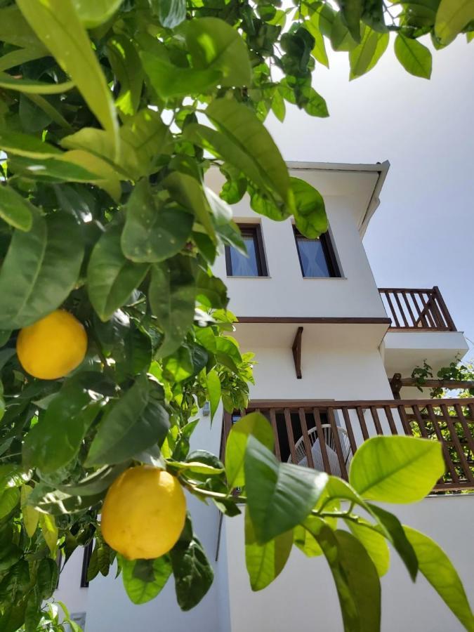 Aegean Blue - Villas Stivachtis Agios Ioannis  Eksteriør billede